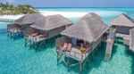 Meeru Maldives Complete Guide to Island Experiences and Tropical Adventures